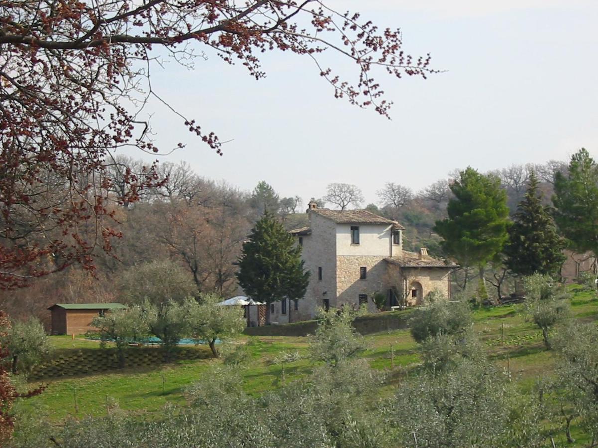 Girasole - Agriturismo Fogliani Giano dell'Umbria Exterior photo
